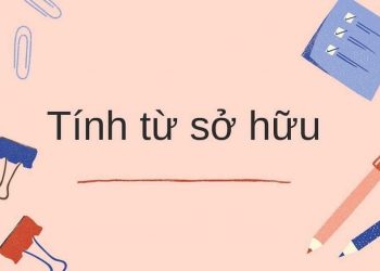 Tính từ sở hữu trong tiếng Anh có cấu trúc như thế nào?