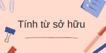 Tính từ sở hữu trong tiếng Anh có cấu trúc như thế nào?