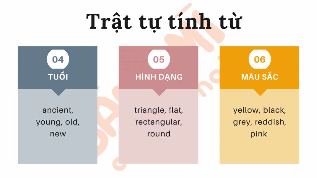 Loại tính từ sở hữu