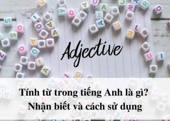 Tính từ trong Tiếng Anh - Tìm hiểu khái niệm, phân loại