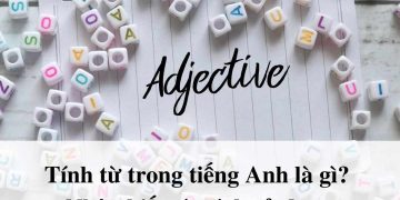 Tính từ trong Tiếng Anh - Tìm hiểu khái niệm, phân loại