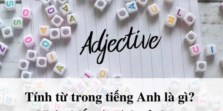 Tính từ trong Tiếng Anh - Tìm hiểu khái niệm, phân loại