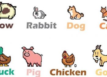 Từ vựng tiếng anh về động vật hoang dã thiên nhiên