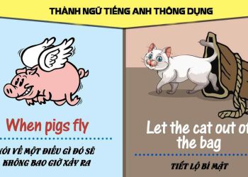 Nét khái quát về thành ngữ tiếng Anh là gì?