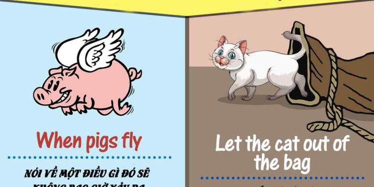 Nét khái quát về thành ngữ tiếng Anh là gì?