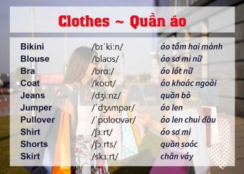 Không vừa học vừa kết hợp từ điển