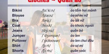 Không vừa học vừa kết hợp từ điển