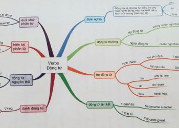 động từ liên kết là động từ đóng vai trò liên kết