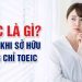 Chứng chỉ TOEIC là gì?