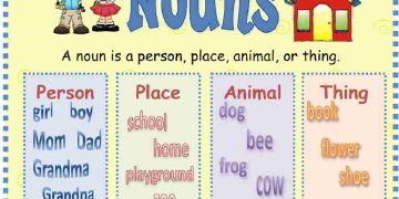 Giới thiệu về các loại danh từ trong tiếng Anh